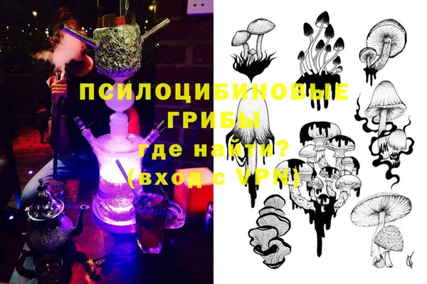 сатива Абдулино