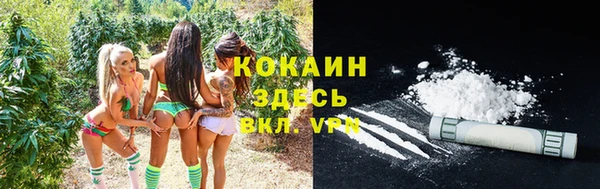 сатива Абдулино