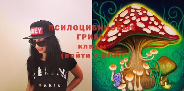 ешки Абинск