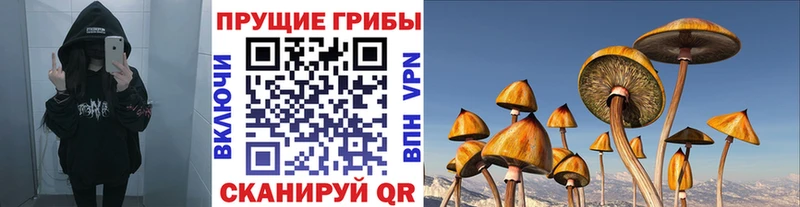 Галлюциногенные грибы ЛСД  Чухлома 